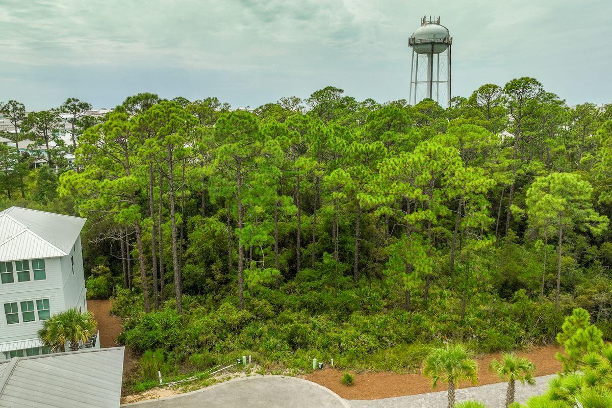 Lot 35 Redbud Ln Inlet Beach Inlet Beach, FL 32461 - Photo 8 of 21 a backyard of a house with lots of green space