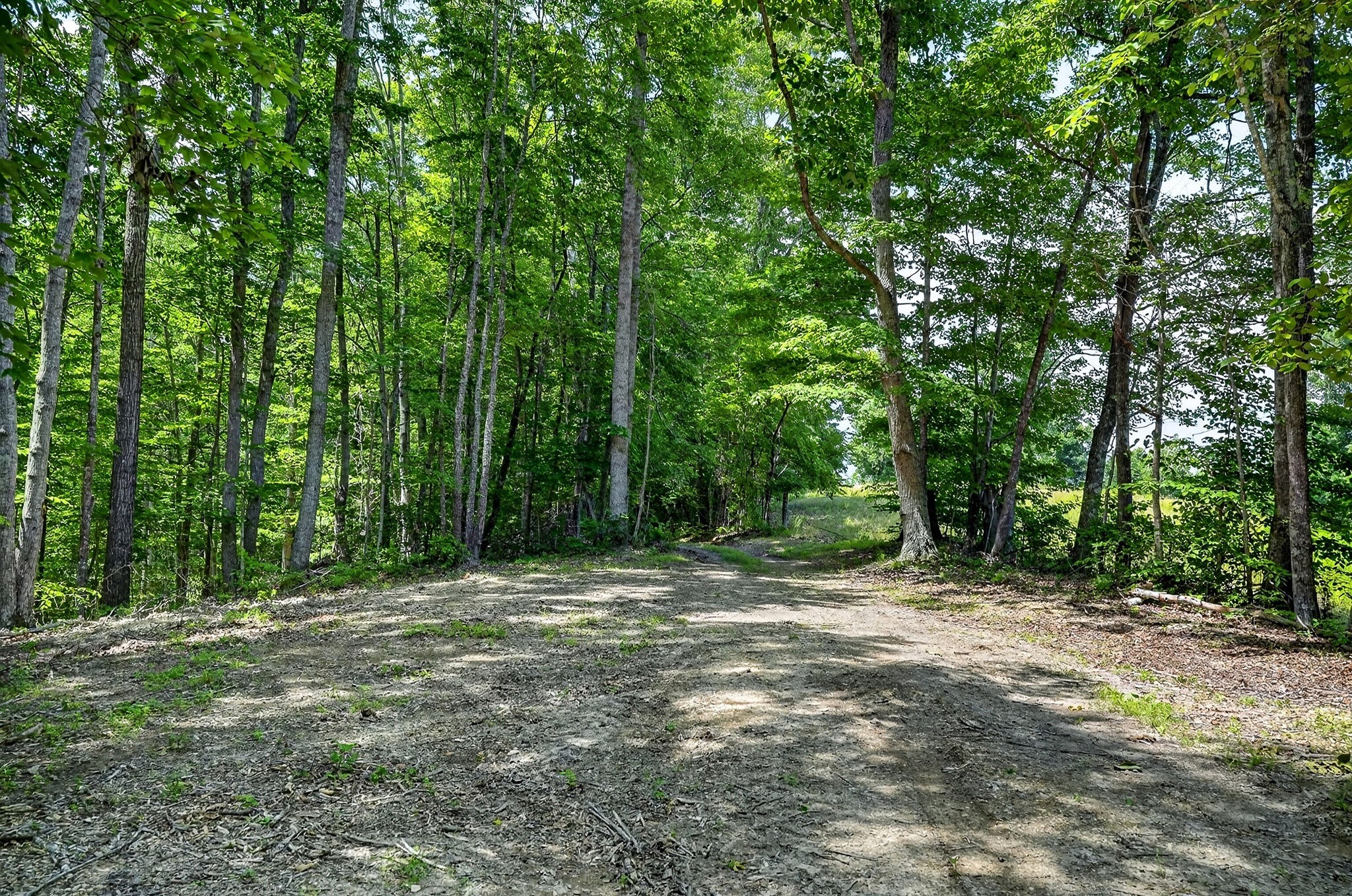 2926 Bryant Ridge Road Baxter, TN 38544 - Photo 4 of 64