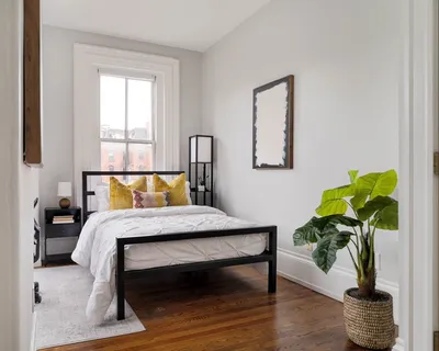 a bedroom with a bed table and a potted plant