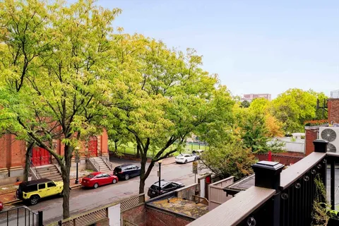 a view of a yard with plants and trees