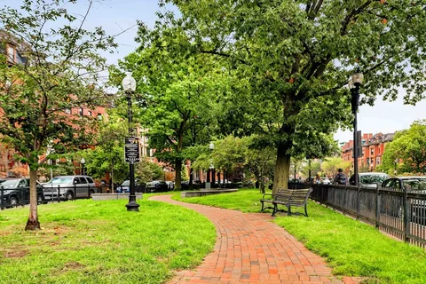 a view of a park with large trees