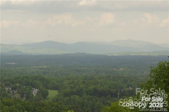 0 Roxworth Court Flat Rock, NC 28731 - Photo 3 of 4 a view of a field