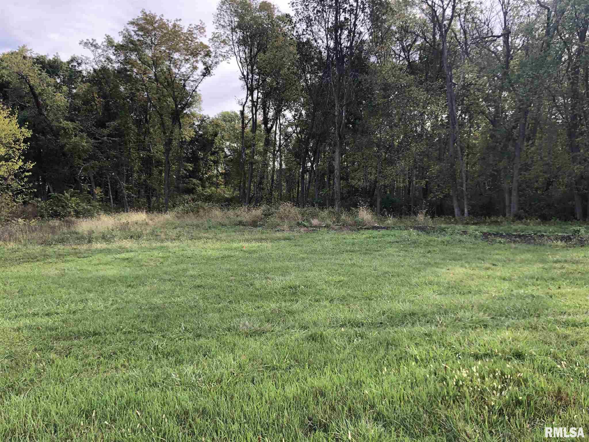 15600 Waller Road Cordova, IL 61242 - Photo 4 of 4 Gallery Image 4
