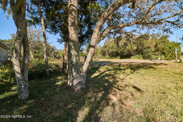 a yard with tall trees