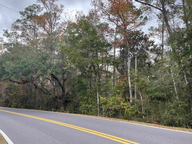 $45,000 | Xx Lawhon Mill Road, Crawfordville, FL 32327