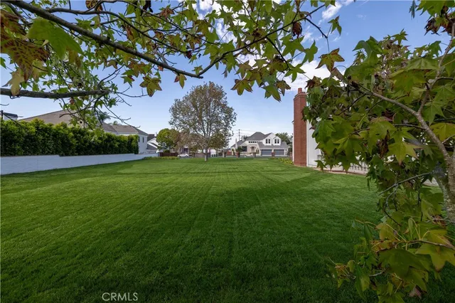 a view of a trees with a big yard