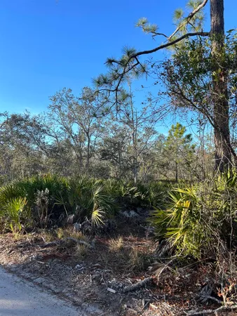 $189,000 | Vacant Clearwater Creek Lane, Perry, FL 32348