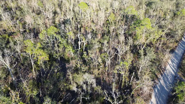 $189,000 | Vacant Clearwater Creek Lane, Perry, FL 32348