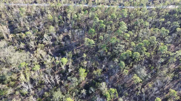 $189,000 | Vacant Clearwater Creek Lane, Perry, FL 32348