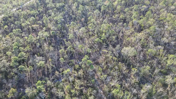 $189,000 | Vacant Clearwater Creek Lane, Perry, FL 32348