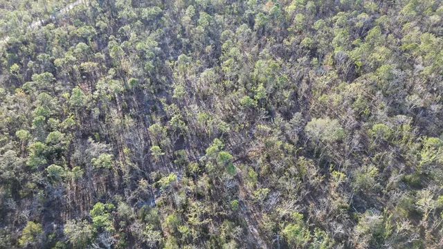 $189,000 | Vacant Clearwater Creek Lane, Perry, FL 32348