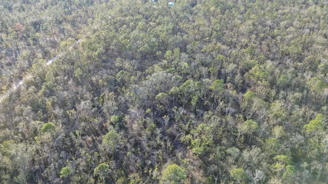 $189,000 | Vacant Clearwater Creek Lane, Perry, FL 32348