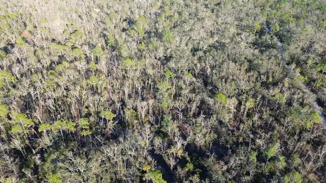 $189,000 | Vacant Clearwater Creek Lane, Perry, FL 32348