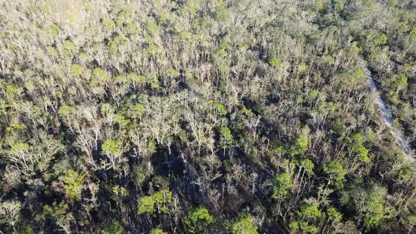 $189,000 | Vacant Clearwater Creek Lane, Perry, FL 32348