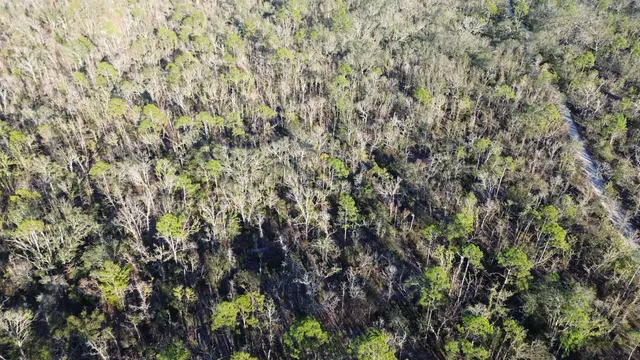 $189,000 | Vacant Clearwater Creek Lane, Perry, FL 32348