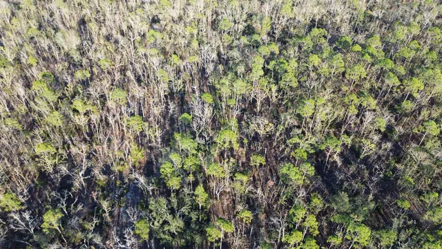 $189,000 | Vacant Clearwater Creek Lane, Perry, FL 32348