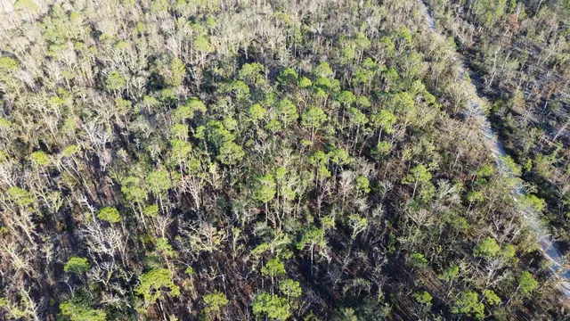 $189,000 | Vacant Clearwater Creek Lane, Perry, FL 32348