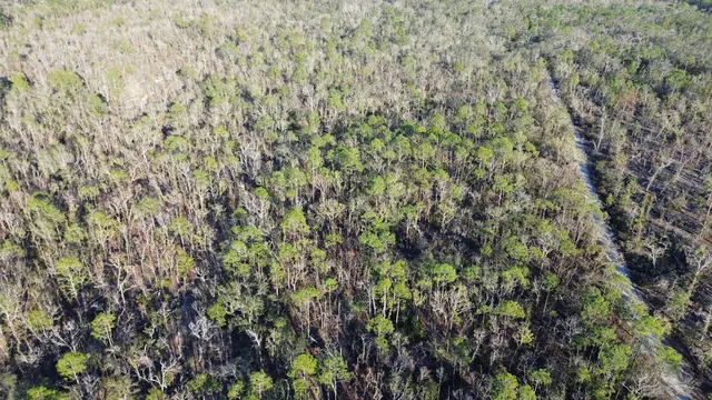 $189,000 | Vacant Clearwater Creek Lane, Perry, FL 32348