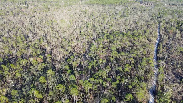 $189,000 | Vacant Clearwater Creek Lane, Perry, FL 32348