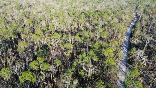 $189,000 | Vacant Clearwater Creek Lane, Perry, FL 32348