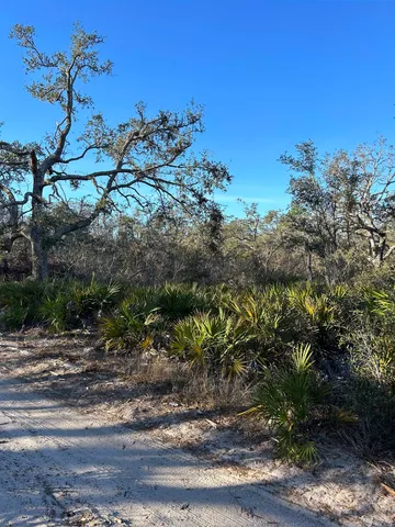 $189,000 | Vacant Clearwater Creek Lane, Perry, FL 32348