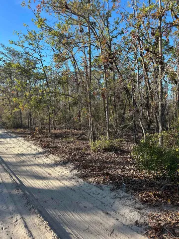 $189,000 | Vacant Clearwater Creek Lane, Perry, FL 32348