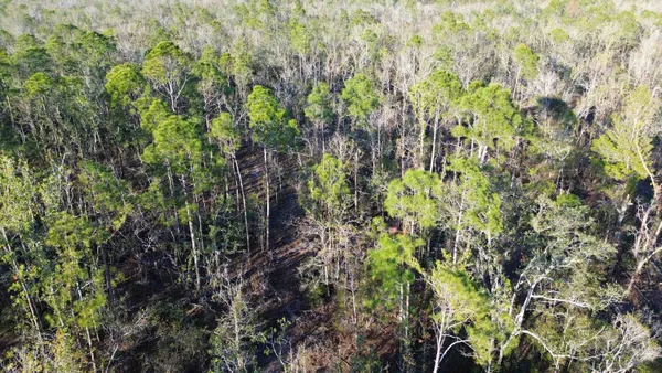 $189,000 | Vacant Clearwater Creek Lane, Perry, FL 32348