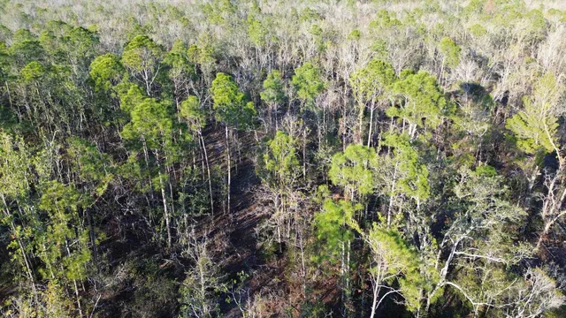 $189,000 | Vacant Clearwater Creek Lane, Perry, FL 32348