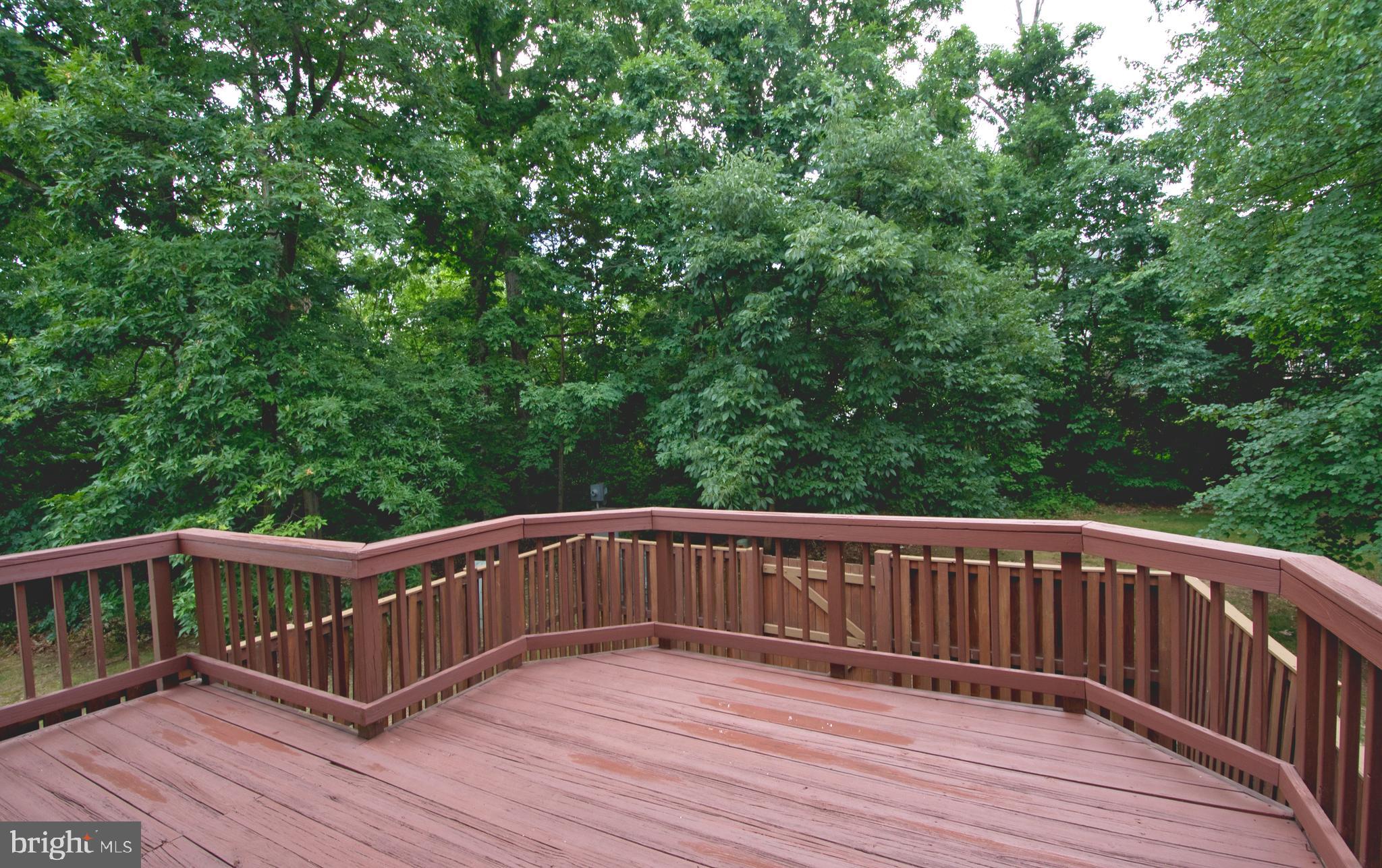 45412 Gable Square Sterling, VA 20164 - Photo 14 of 36 Deck & Back View
