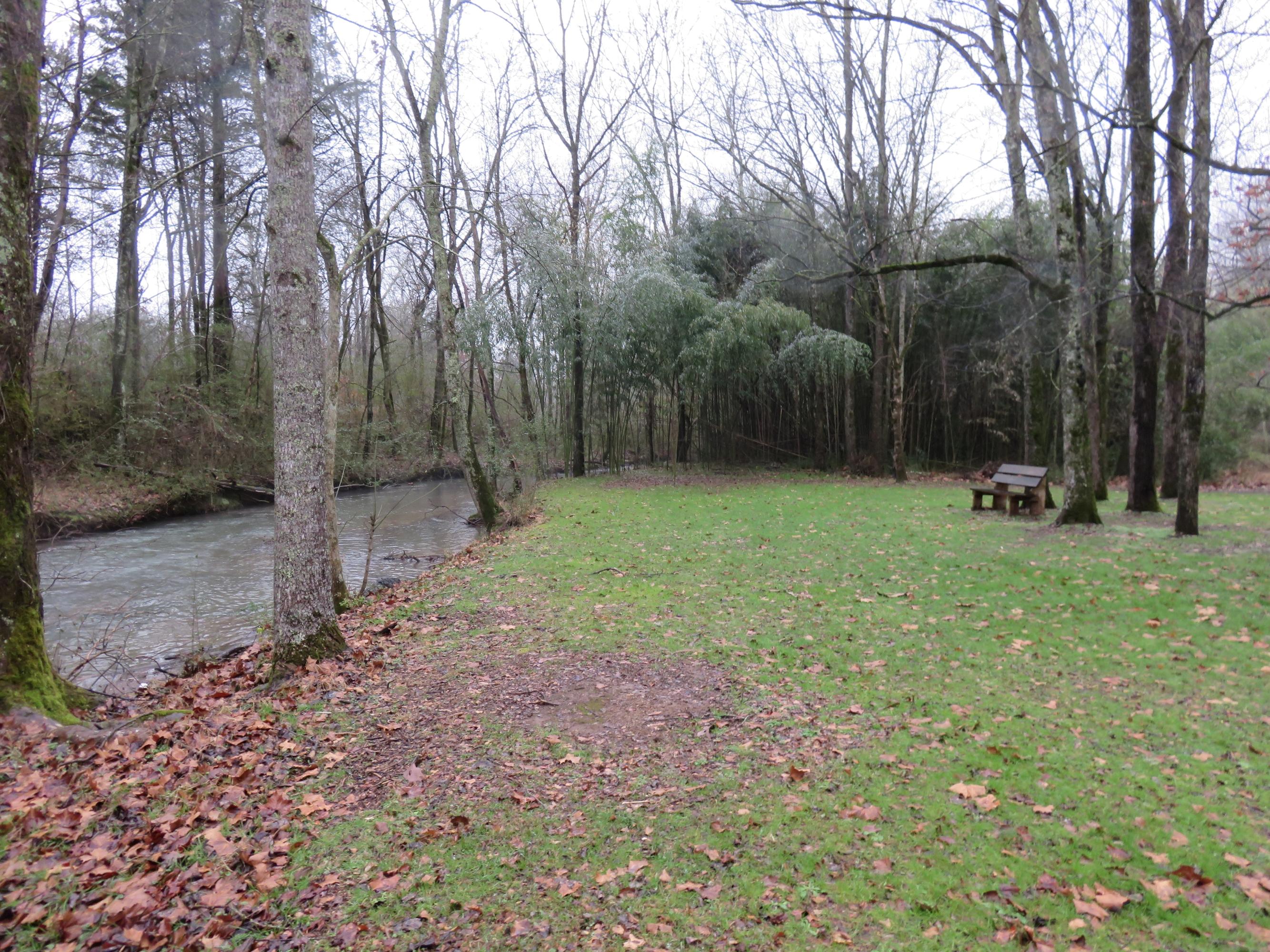 347 County Road 252 Athens, TN 37303 - Photo 4 of 37 3
