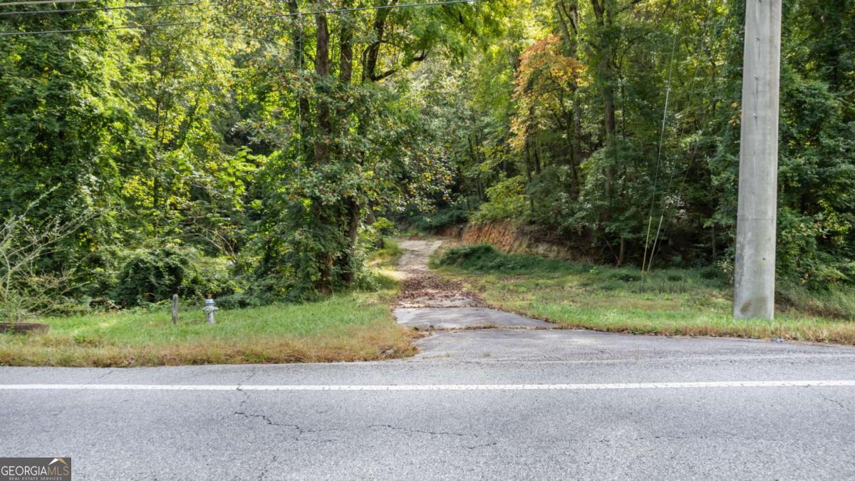 4092 Helen Highway Cleveland, GA 30528 - Photo 10 of 11 a view of a yard with a tree