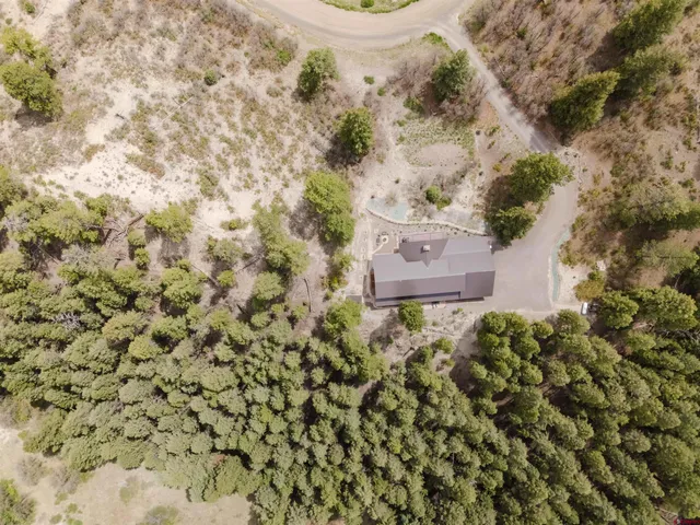 view of a yard with a tree