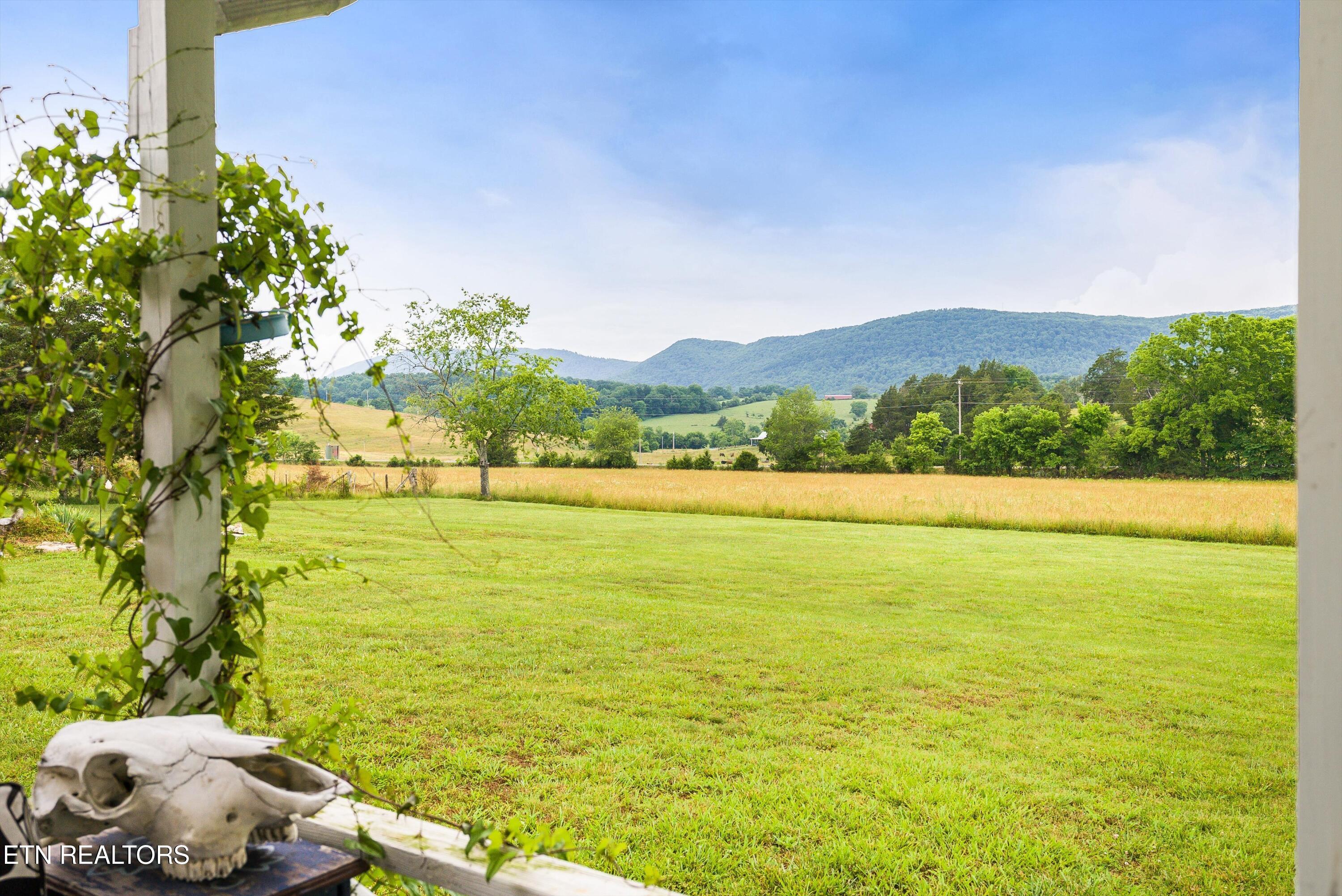 120 Bolinger Road Speedwell, TN 37870 - Photo 13 of 58 15-120BolingerRd-15