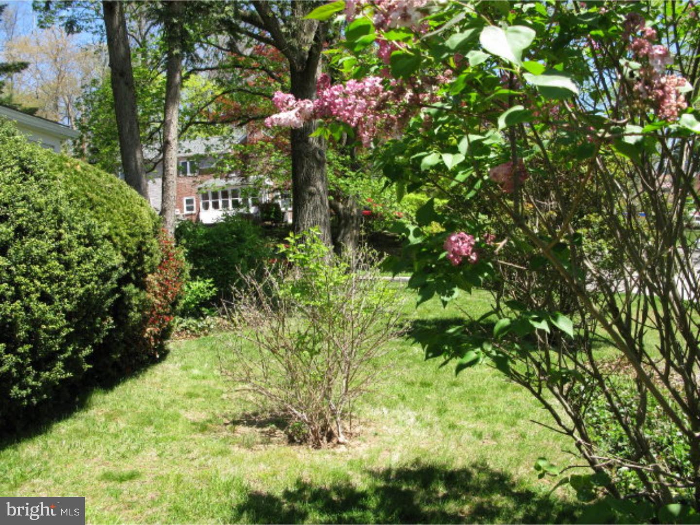 532 Beaver Road Glenside, PA 19038 - Photo 22 of 25 Exterior