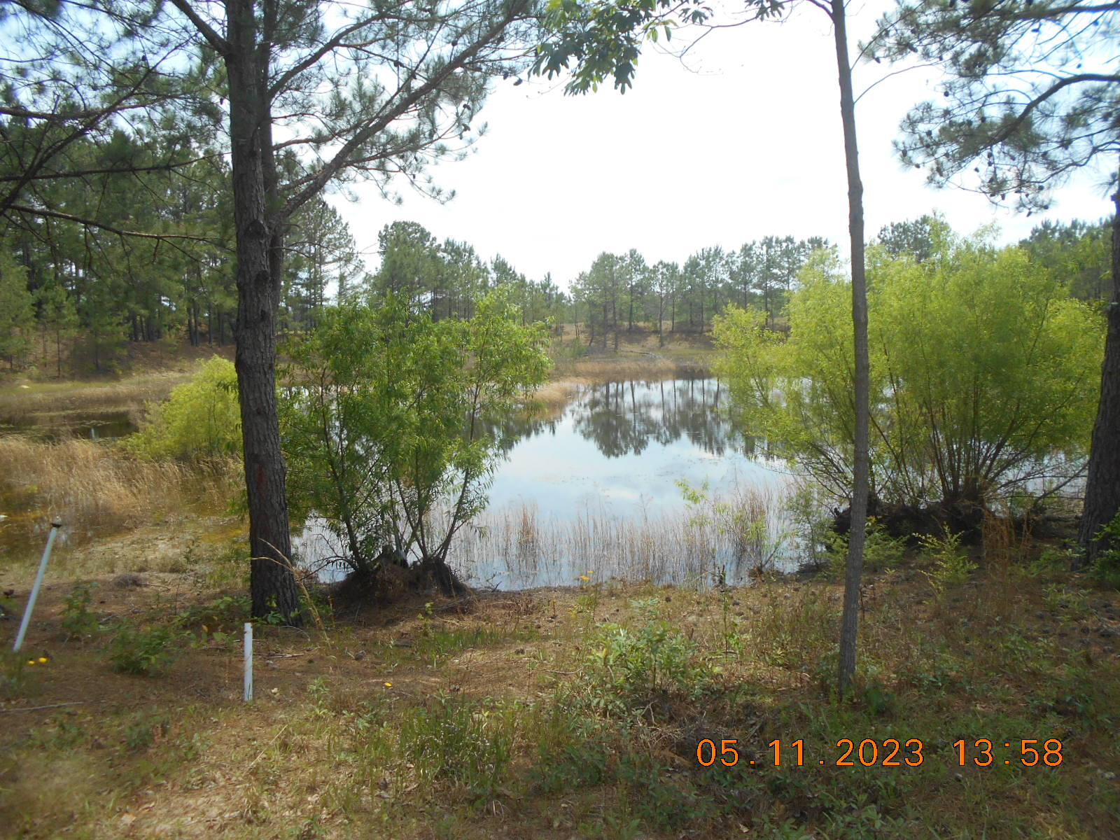 342 May Road Thomson, GA 30824 - Photo 18 of 24 2023-05-11 13.58.56