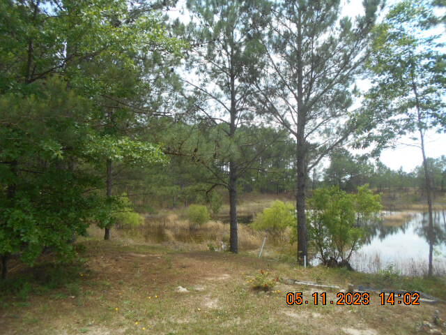 342 May Road Thomson, GA 30824 - Photo 20 of 24 2023-05-11 14.02.34