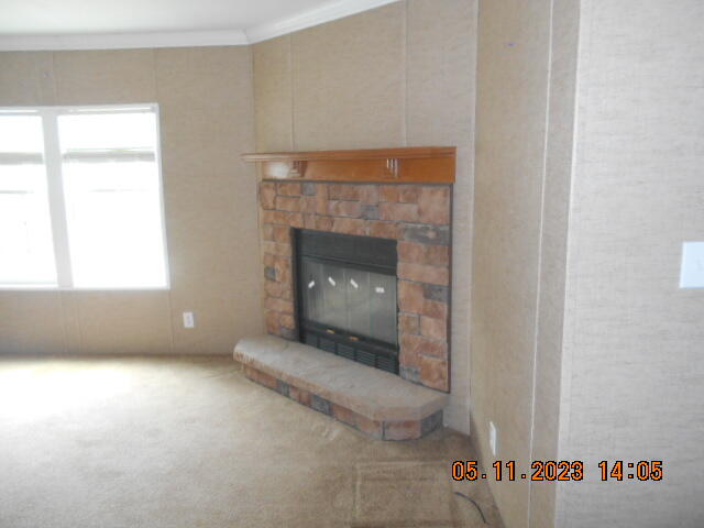 342 May Road Thomson, GA 30824 - Photo 3 of 24 2023-05-11 14.05.00