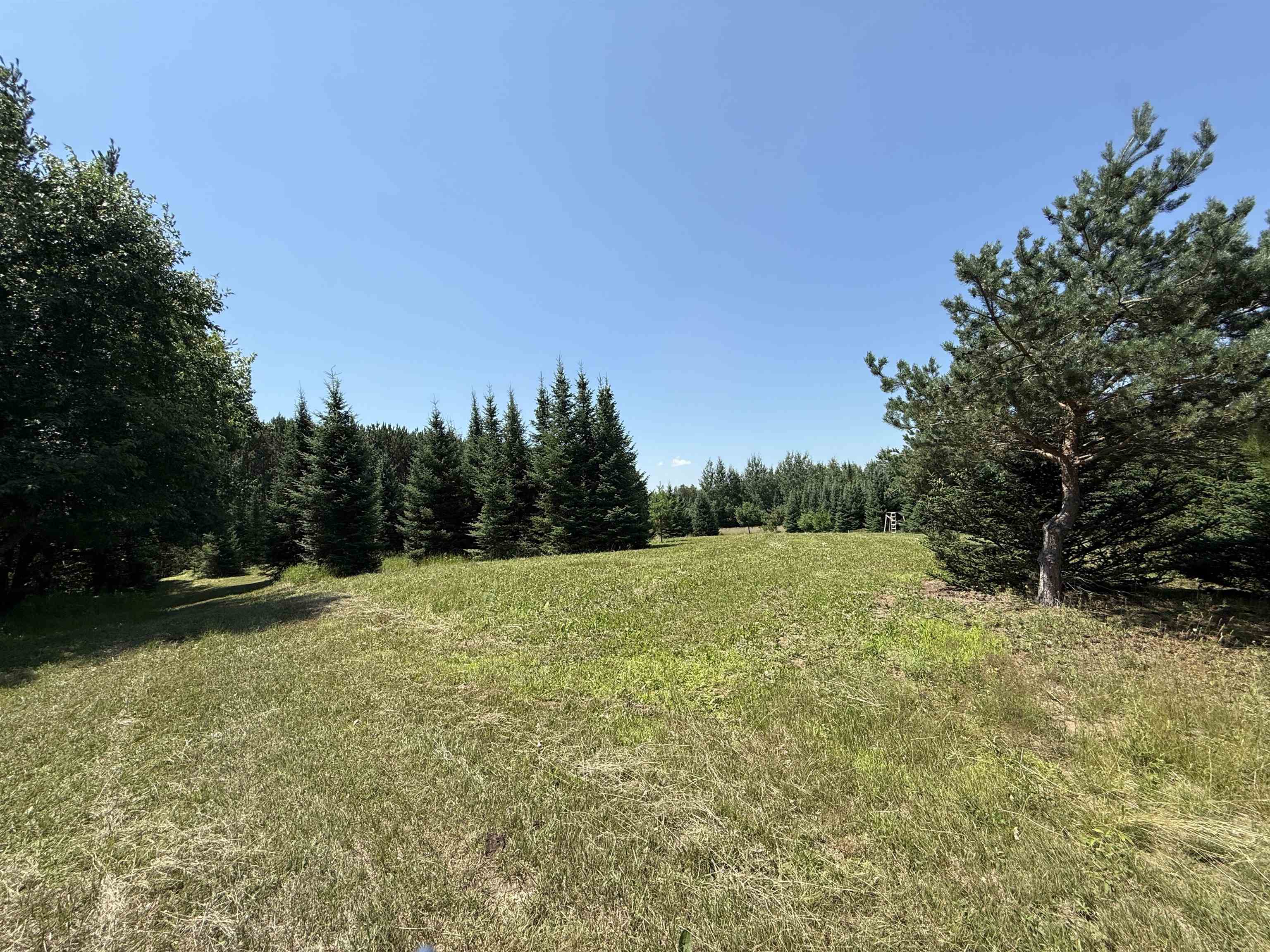 Red Hickory Road Eland, WI 54427 - Photo 5 of 28
