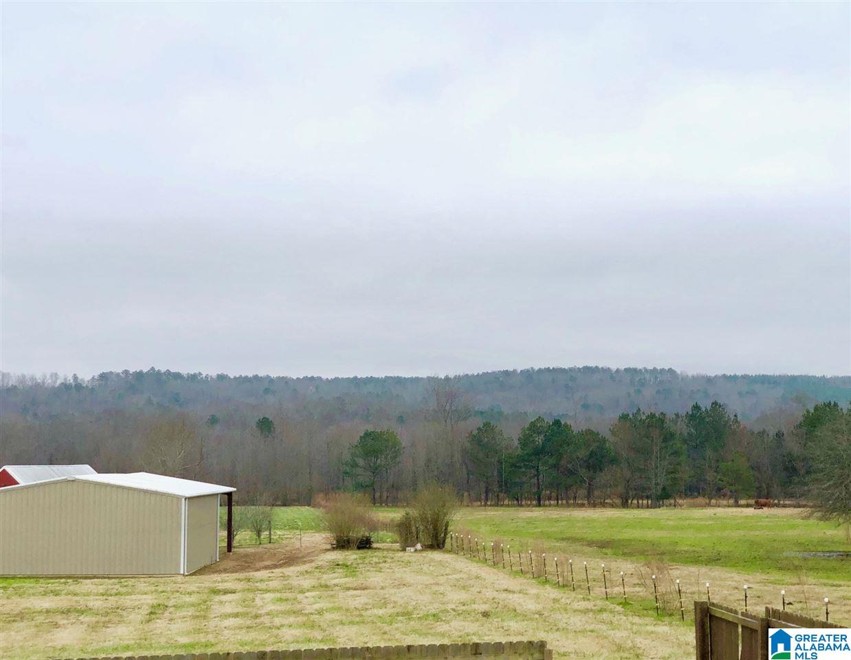 4838 Pleasant Valley Road Ashville, AL 35953 - Photo 47 of 50
