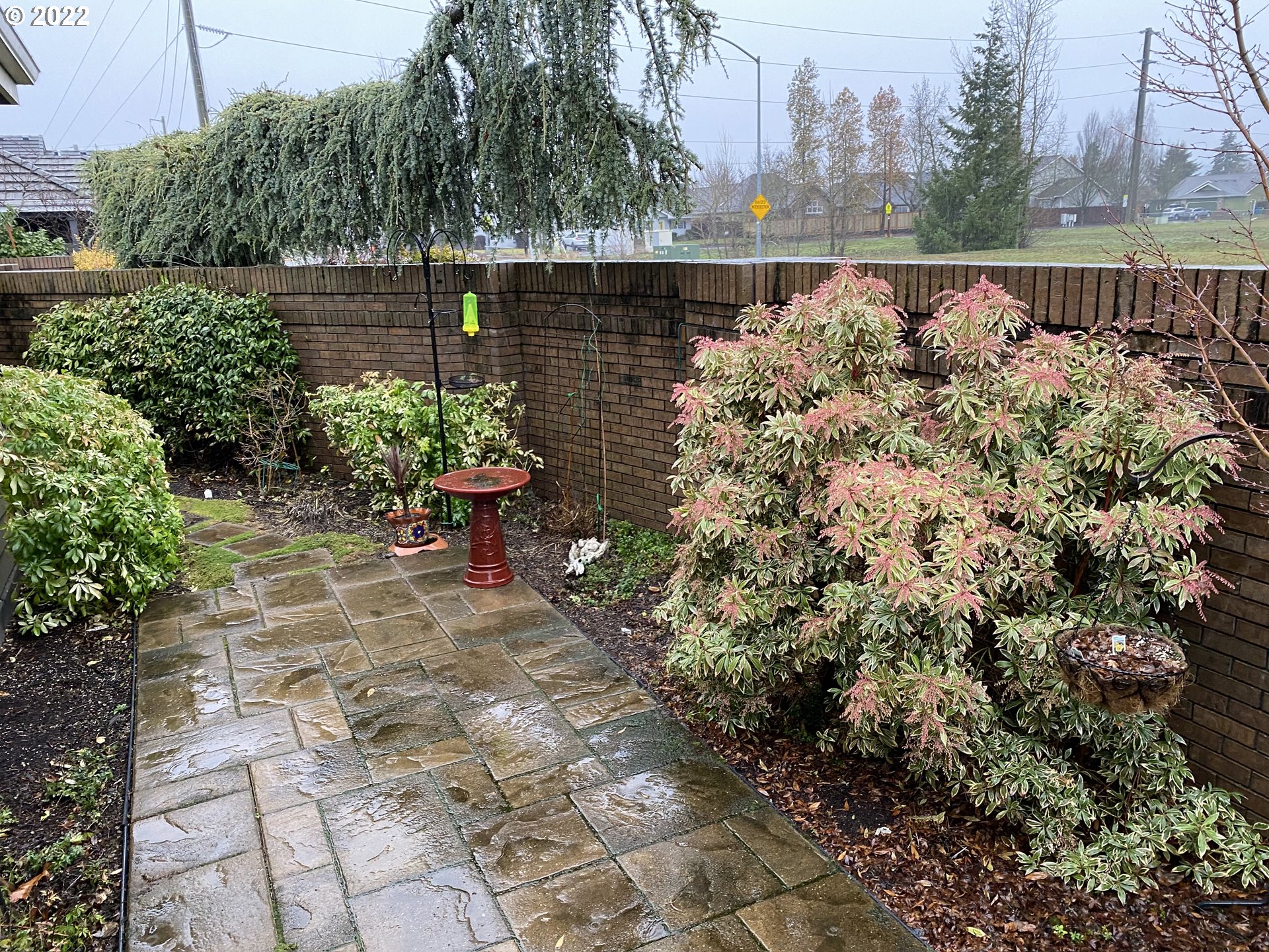 3247 Lake Crest Drive Eugene, OR 97408 - Photo 29 of 31 a backyard of a house with lots of green space