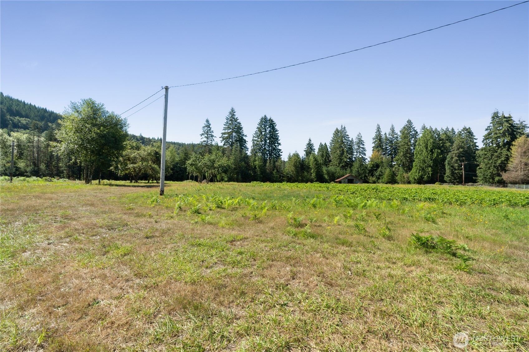 38 Ray Road Elma, WA 98541 - Photo 7 of 19 Gallery Image 7
