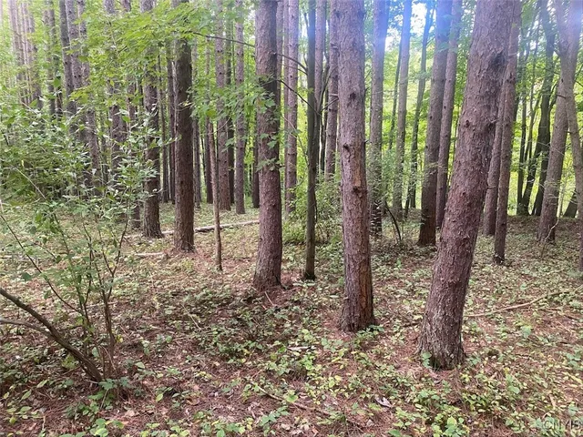 $59,900 | Oramel Hill Road, Caneadea, NY 14717