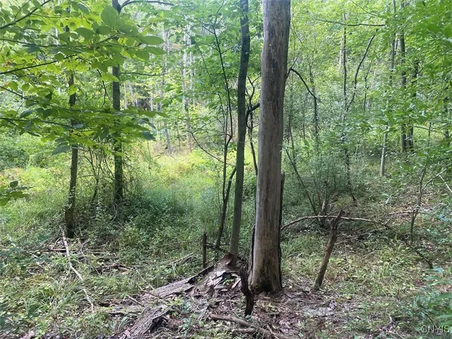 $59,900 | Oramel Hill Road, Caneadea, NY 14717