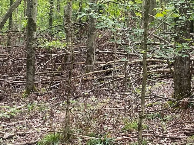 $59,900 | Oramel Hill Road, Caneadea, NY 14717