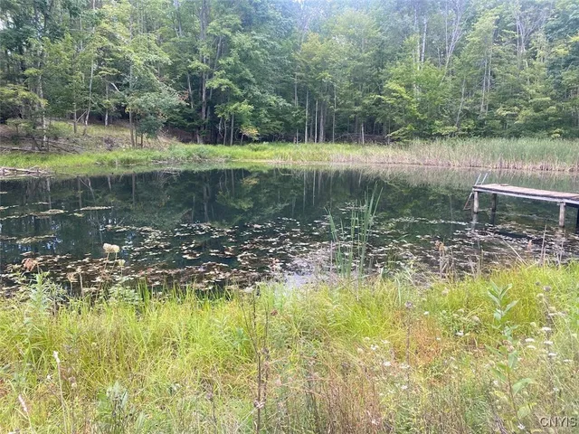 $59,900 | Oramel Hill Road, Caneadea, NY 14717