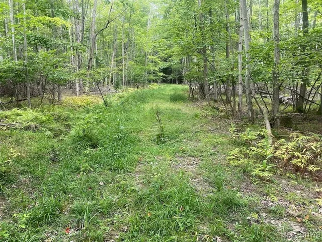 $59,900 | Oramel Hill Road, Caneadea, NY 14717