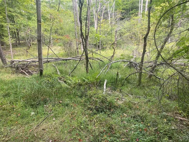 $59,900 | Oramel Hill Road, Caneadea, NY 14717