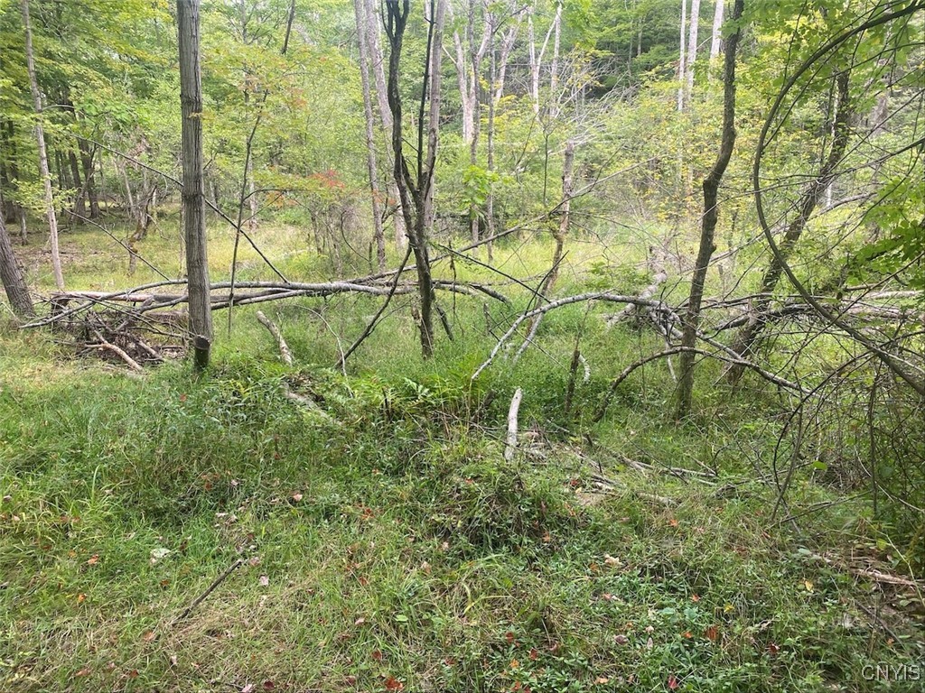 Oramel Hill Road Caneadea, NY 14717 - Photo 4 of 14