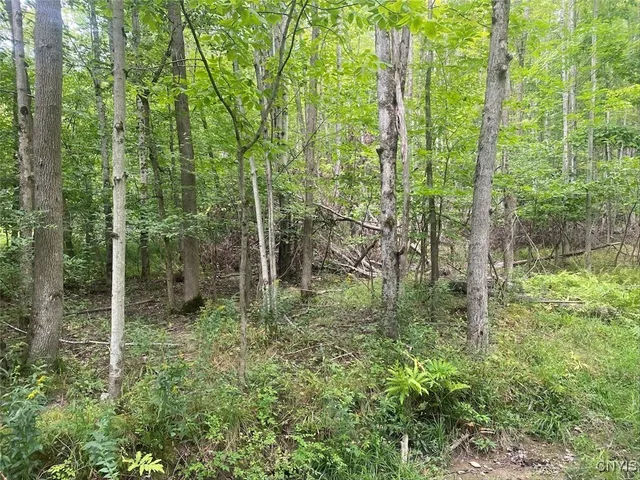 $59,900 | Oramel Hill Road, Caneadea, NY 14717