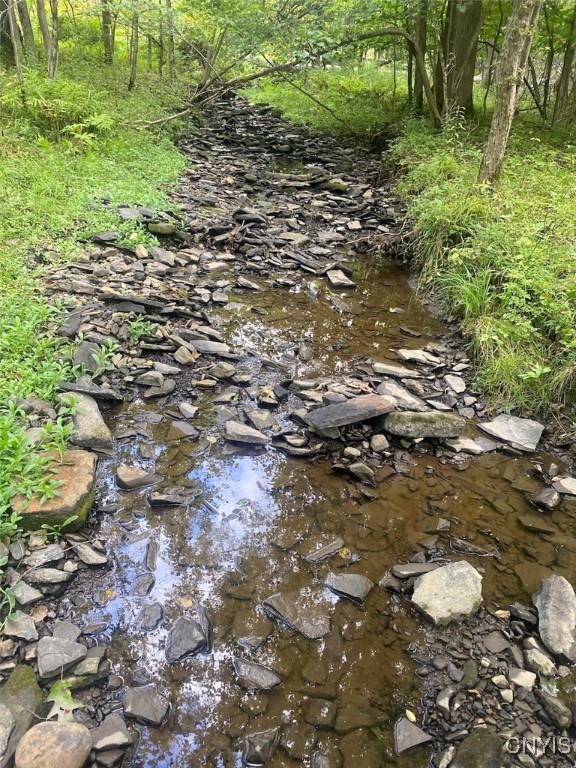 Oramel Hill Road Caneadea, NY 14717 - Photo 6 of 14